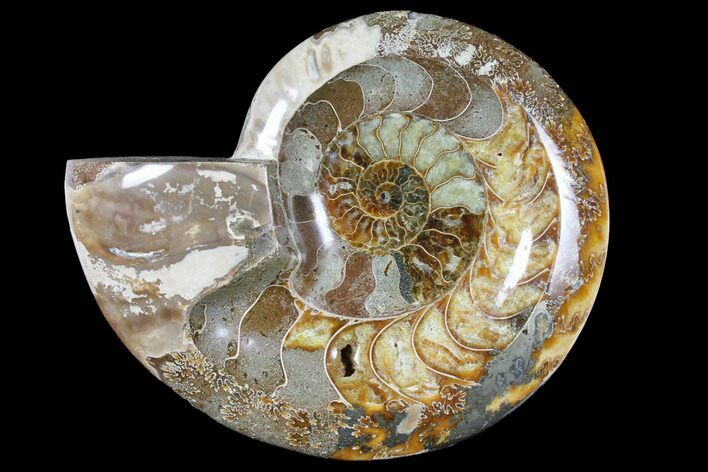 Wide Polished Fossil Ammonite Dish - Inlaid Ammonite #133252